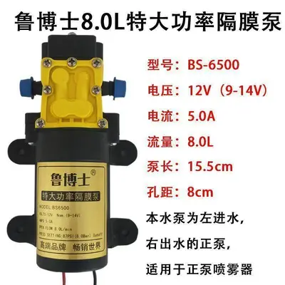 12V Agricultural Sprayer Diaphragm Water Pump, High Pressure Self-Priming Motor