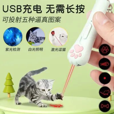 Wiederaufladbares Katzenspielzeug mit Infrarot-Laserpointer - 4