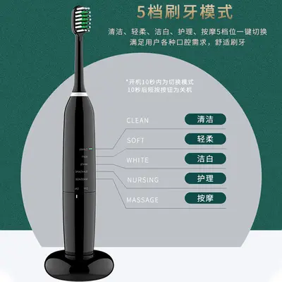 Portable Wireless Charging Electric Toothbrush, 5 Speeds, Waterproof