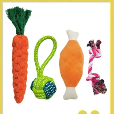 Chew-Resistant Cotton Rope Dog Toy Set for Small and Medium Dogs - 12