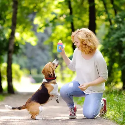 Bite-Resistant Plush Squeaky Dog Toy - 3