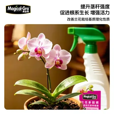 Orchid Nutrient Solution 700ml, Ready-to-Use, Strong Root Development - 4