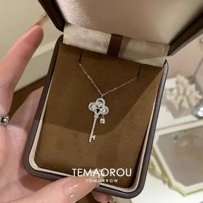 Taç anahtarlı gümüş kolye, titanyum çelik - 5