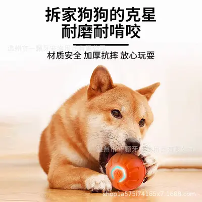 Bouncing Chew-Resistant Dog Ball Toy - 5