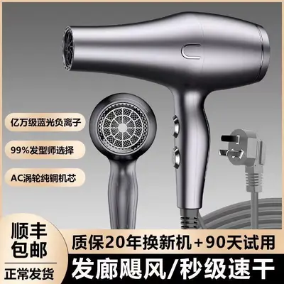 Professional Negative Ion Hair Dryer with High Airflow