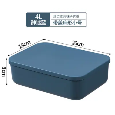 Plastic Storage Box, Large Capacity - 10