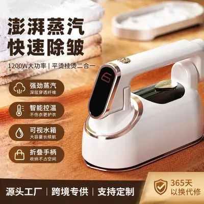 Portable Garment Steamer, High Power, Dry and Wet