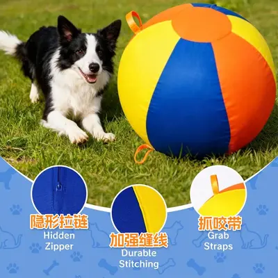 Dev köpek oyun topu, büyük boy, sıkıntı giderici, border collie için - 5