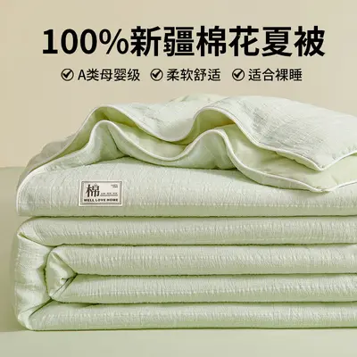 Class A Mother and Baby Grade Pure Cotton Summer Quilt 100% Xinjiang Cotton Summer Duvet Air Conditioning Quilt Full Cotton Children's Thin Bedding - 8