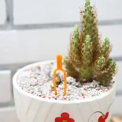 Strawberry Seedling Press Fork for Grafting and Greenhouse