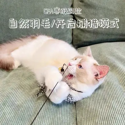 CFA Cat Teaser Wand, Long Pole with Feathers, Chew-Resistant, Replaceable Head - 3