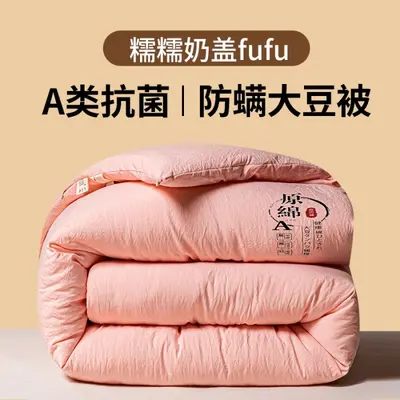 Class A Comforter Soybean Fiber Quilt Spring Autumn 2-in-1 Mother-Child Duvet Student Dormitory Single Person Thickened Winter Quilt Core - 9