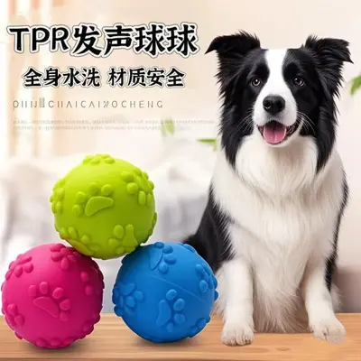 Quietschender Hundeball aus TPR, bissfest, Stressabbau und Training - 1