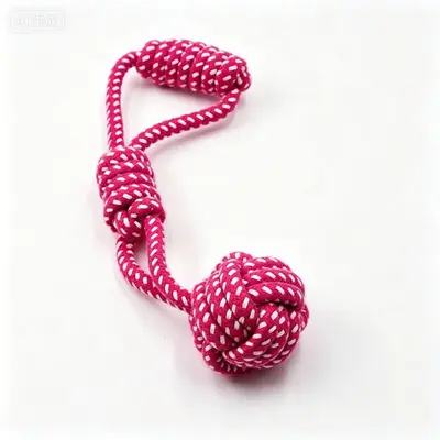 Durable Cotton Rope Chew Toy and Frisbee Set for Small and Medium Dogs - 13