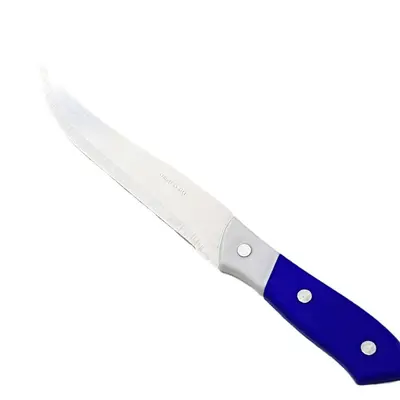 6 Inch PP Handle Sharp Chef Knife, Household Fruit Knife, Blue and Red Handle