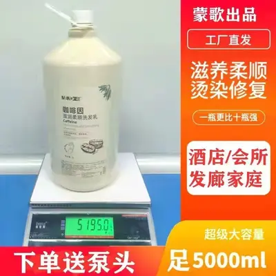 Anti-Schuppen-Shampoo 5L Großpackung für Friseursalons - 5