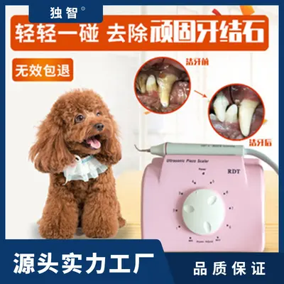 Pet ultrasonic tooth cleaner with automatic water suction
