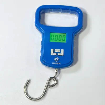Factory Direct Supply 50kg Portable Electronic Hand Scale Fish Scale Express Delivery Handheld Electronic Scale A09 Hook Scale
