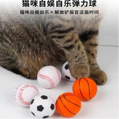 Katzenspielzeug-Set mit Schwammbällen, Elastikball und Katzenangel - 3
