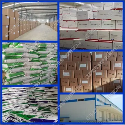 供应食品级发泡蛋白粉 水解大米蛋白 量大从优