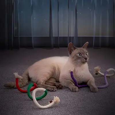 Cat Chew Rope Toy, Durable Self-Play Cat Chew Stick for Kittens and Dogs - 5