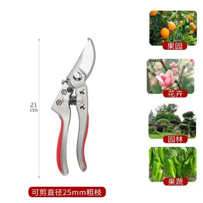 Raspberry Color SK5 Pruning Shears, for Fruit and Flower Branches - 13