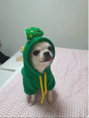 Hunde- und Katzenpullover für Herbst und Winter, French Bulldog - 8