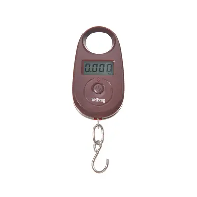 Sınır ötesi Weiheng WH-A11 ultra mini dijital el çantası küçük kanca ölçeği asılı ölçekli paket ölçeği 25 kg ağırlık hassasiyeti 5g - 5