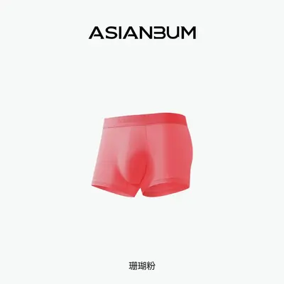 Asianbum Erkek Boxer İç Çamaşırı Buz İpeği U Çıkıntılı - 10