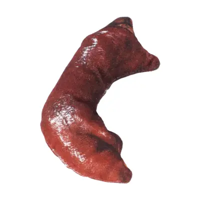 Simulated Pet Toy, Bite-Resistant Cat Teaser Wand and Dog Chew Toy - 9