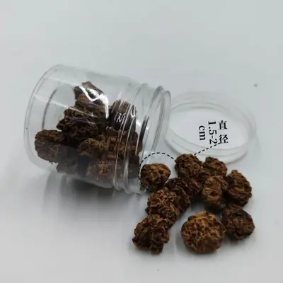 Şişeli Kedi Oyuncağı Seti, Diş Kaşıma ve Yalnız Oyun için, Çeşitli Boyutlar - 3