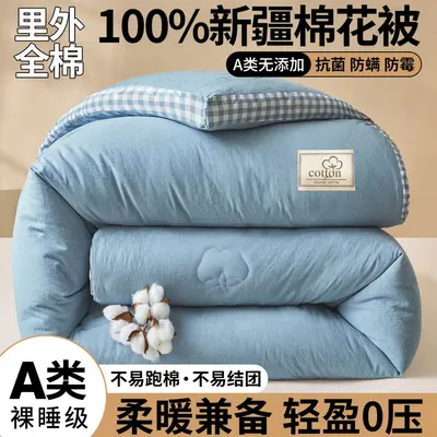 100% Cotton Thickened Winter Quilt, Xinjiang Cotton, Suitable for All Seasons - 9