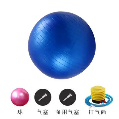 PVC Kalın Mat Yoga Topu 55 cm 65 cm 75 cm Fitness Topu - 13