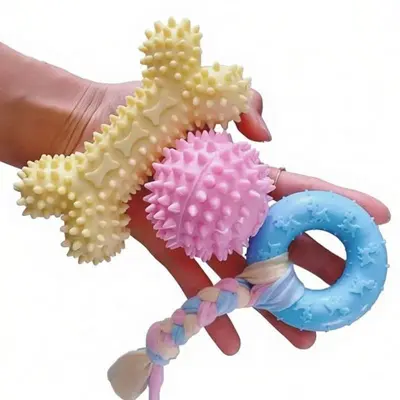 狗狗玩具球耐咬磨牙棒幼犬泰迪狗解闷啃咬玩具TPR材料耐咬磨牙批 - 6