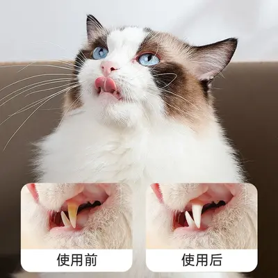 FURRIYO  宠物洁牙笔  去牙垢牙渍宠物洁齿凝胶 口腔清洁宠物牙膏