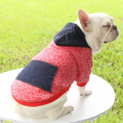 Autumn Winter Two-Legged Hoodie with Pocket for Cats and Dogs - 13