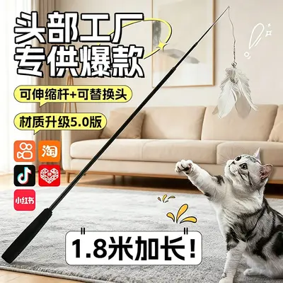 Long Retractable Cat Teaser Wand with Detachable Pole