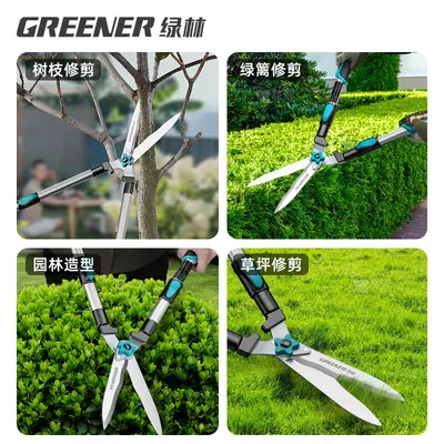 Green forest garden shears, lawn hedge shears, greening garden shears, seedling high branch shears, special shears for branch pruning