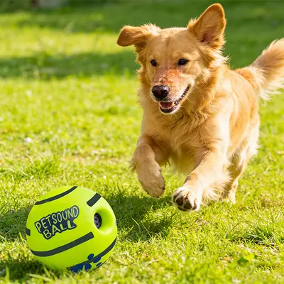 Chew-Resistant Pet Ball Dog Toy with Squeaker, Non-Electric