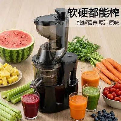 Automatic Cold Press Juicer Wide Feed Chute - 4