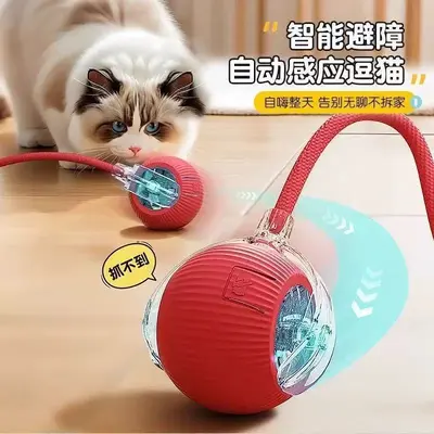 Automatic Dog Toy Ball, Chew-Resistant, for Small Dogs - 1