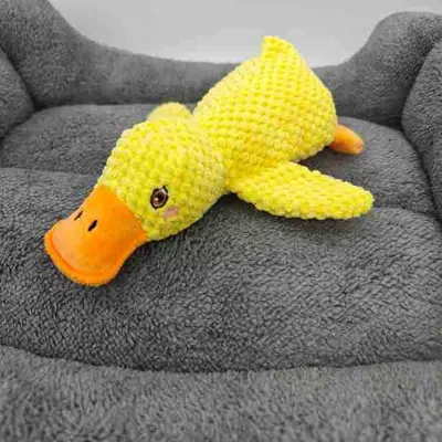 Bite-Resistant Cat and Dog Toy, Simulated Large Carrot Fake Fruit Design - 13