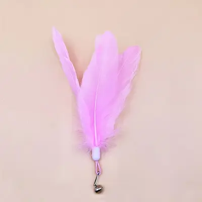 CFA Wooden Handle Spring Cat Teaser Wand with Replaceable Feathers - 13