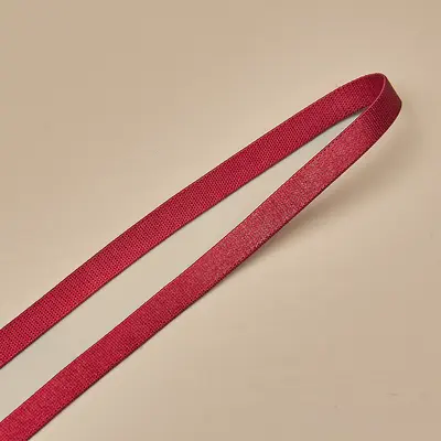 Shiny Polyester Strap Tape, 0.6-1.5 cm, Colored Elastic - 9