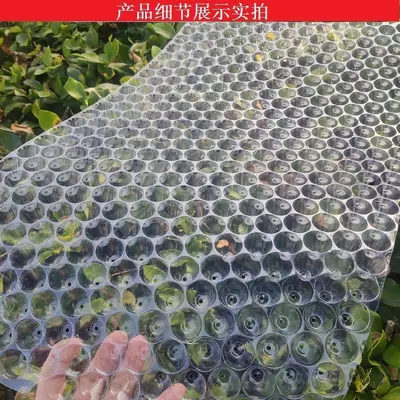 Thickened Rice Seedling Tray, Transparent, 434-Hole