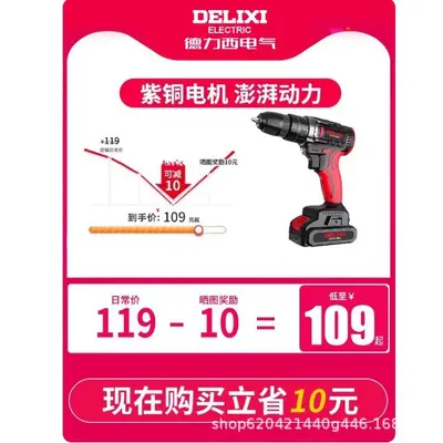 Delixi Şarj Edilebilir Lithium Darbeli Matkap, Ev Alet Seti - 3