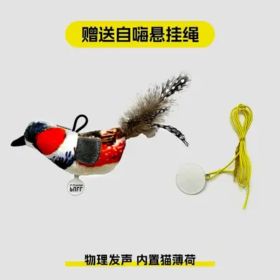 Cat Toy Squeaky Feather Bird Teaser Wand, Durable - 9
