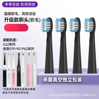 Replacement Toothbrush Heads for Sakypro Shuke, Compatible with G22/G23/G33/G32/T2 - 10