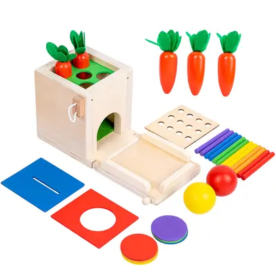 Grenzüberschreitende Montessori-Holzspielzeugbox 4-in-1/5-in-1 mit Münzeinwurf, multifunktional, mit Karotten- und Zielboxen-Funktion für frühkindliche Bildung - 6