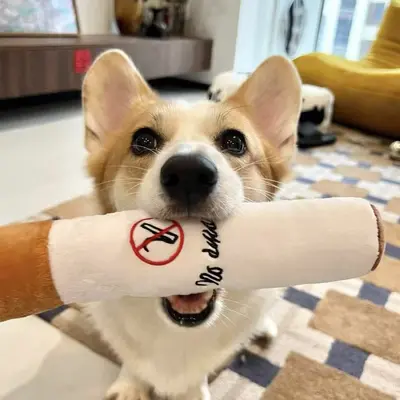 Cigarette-Shaped Plush Dog Toy with Squeaker, Stress-Relief Pillow - 3